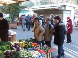 6. kép