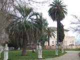190. kép