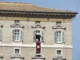 7. kép