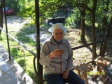 7. kép
